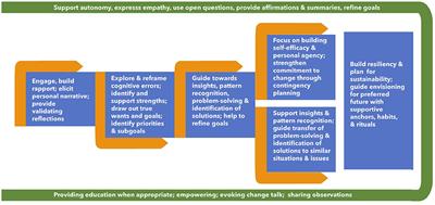 Healthy Lifetime (HL): An Internet-Based Behavioral Health Coaching Protocol for Older Adults